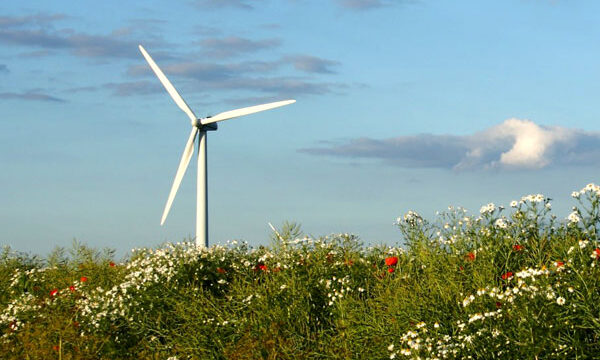 Татарстан компенсирует нехватку энергии с помощью ветра